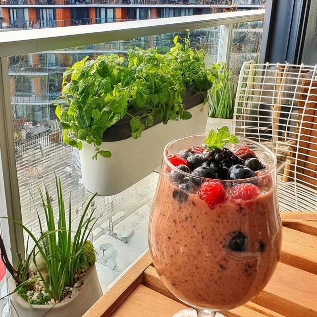 Arktisk Villbær Ingefær Smoothie