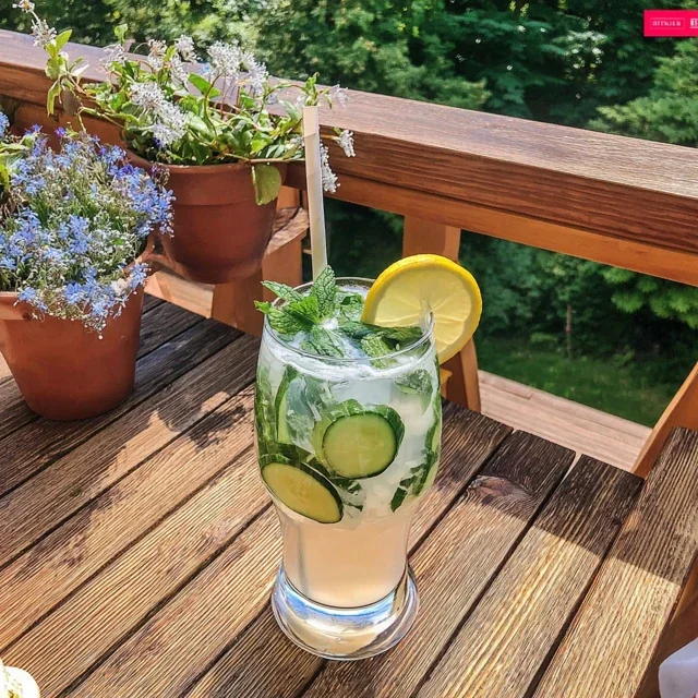 Hjemmelaget mynte-agurk-limonade